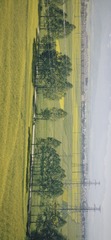 B2D1D717-7715-4DCA-9951-D229C2048A2E/L0/001