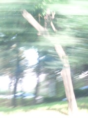 1000503976