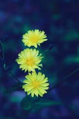 42058746-ACD4-447E-9A1D-71245B13D9AF/L0/001