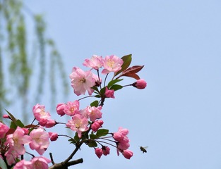 34DBBD4B-19F5-4284-B680-6E896DB8E8DA/L0/001