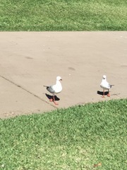 3123
