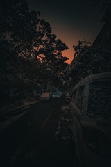 1002302822
