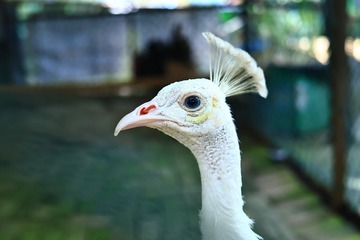 28169