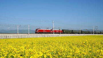 1000026191