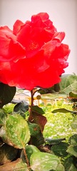 IMG_20250419_130641