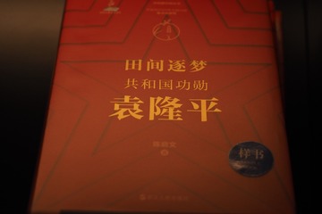 37045