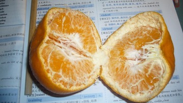 F5F0801E-280C-4DE3-AB30-088608B331F9/L0/001