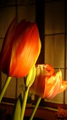 B27E20D0-435C-4C3E-BCA7-7A6602B1A597/L0/001