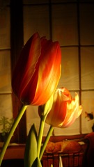 20EADCB1-0F9B-4AF8-B727-15E9324DD32F/L0/001