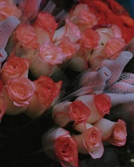 75F1C579-1C4C-45B2-8DF0-7D4E4A0E8A8B/L0/001