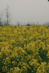 6A931B7F-2A7A-478A-9D4C-45107B6A2FBB/L0/001