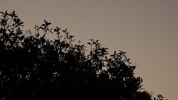 446302