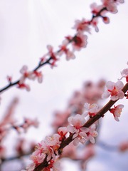 FF15EB44-3679-4568-80EA-44207F436ABF/L0/001