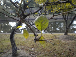 DSCN0924.JPG
