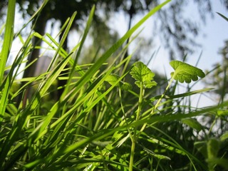 IMG_5282.jpg