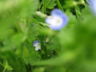 IMG_7416.jpg