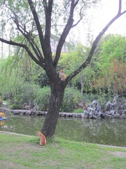 IMG_7476.jpg