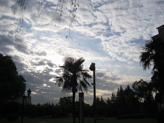IMG_7883.jpg