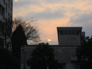 IMG_6987.jpg