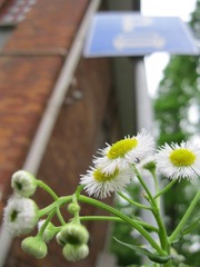 IMG_7588.jpg