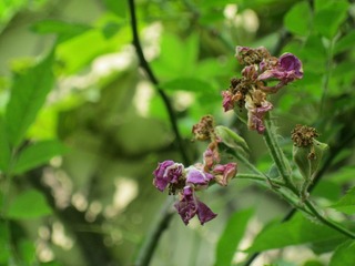 IMG_7653.jpg