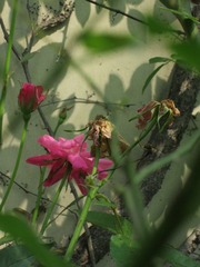 IMG_7656.jpg
