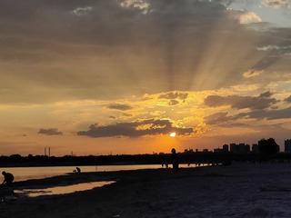 1000063602
