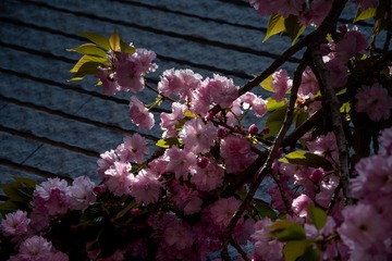 D0BB9E1E-89E9-476E-B456-EF1655CBB1AB/L0/001