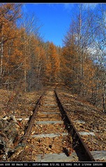 路