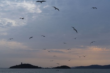 1EDE9FD9-C7EC-4B36-94D7-1E45779740F0/L0/001
