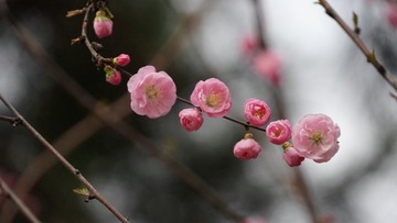 1309B73F-3CB9-401B-9FF4-7D9F414C45CE/L0/001