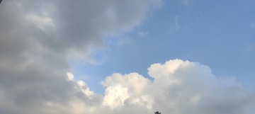 1000023418