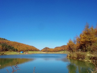 7629F59B-A974-4E8D-933C-3F3A8B204BC3/L0/001