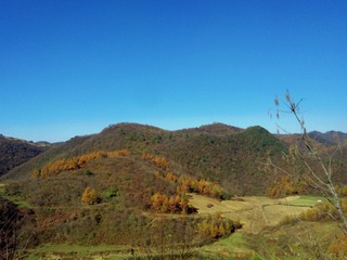 D15B3863-2A10-463C-8E47-C8FCBA899B93/L0/001