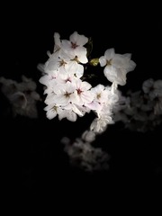 97CB27F6-3125-4D7A-B80C-59C9E90BF09F/L0/001