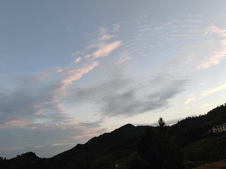 1000045973