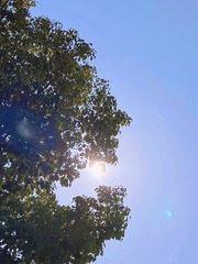 E551CB6B-C932-4761-9E48-0D1E7DB4B17B/L0/001