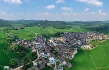 爷爷和茶园