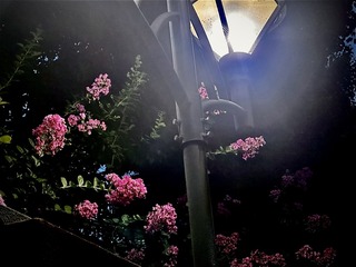 137E54E8-7154-4C8D-B2AA-390A09106608/L0/001