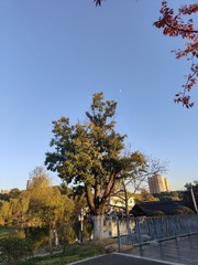 1000079401
