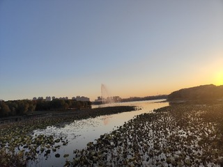 1000079402