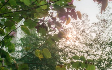 1009053