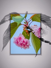 8C2B0B11-26A7-49DB-A9E8-D8B88A436998/L0/001
