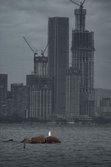 001