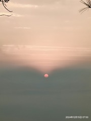 1000011415