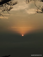 1000011426