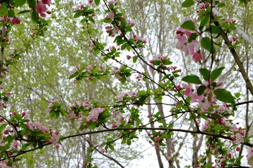 04050488-C20A-4942-AFD5-0EC881D02E2A/L0/001