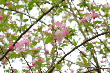 FA4E70B1-C4E6-4D3C-80C7-35FA42831141/L0/001
