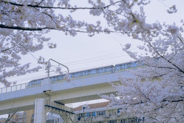 972AA4F6-21DB-4BE2-9215-863B4816A516/L0/001