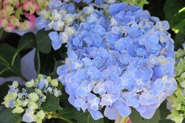 93083F31-48C6-40F9-AE7B-1919A49FB464/L0/001